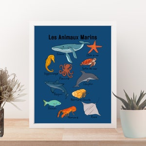 Cartel de animales marinos FRANCÉS para arte de pared o decoración de aula. Arte mural con temática oceánica, recurso educativo bilingüe