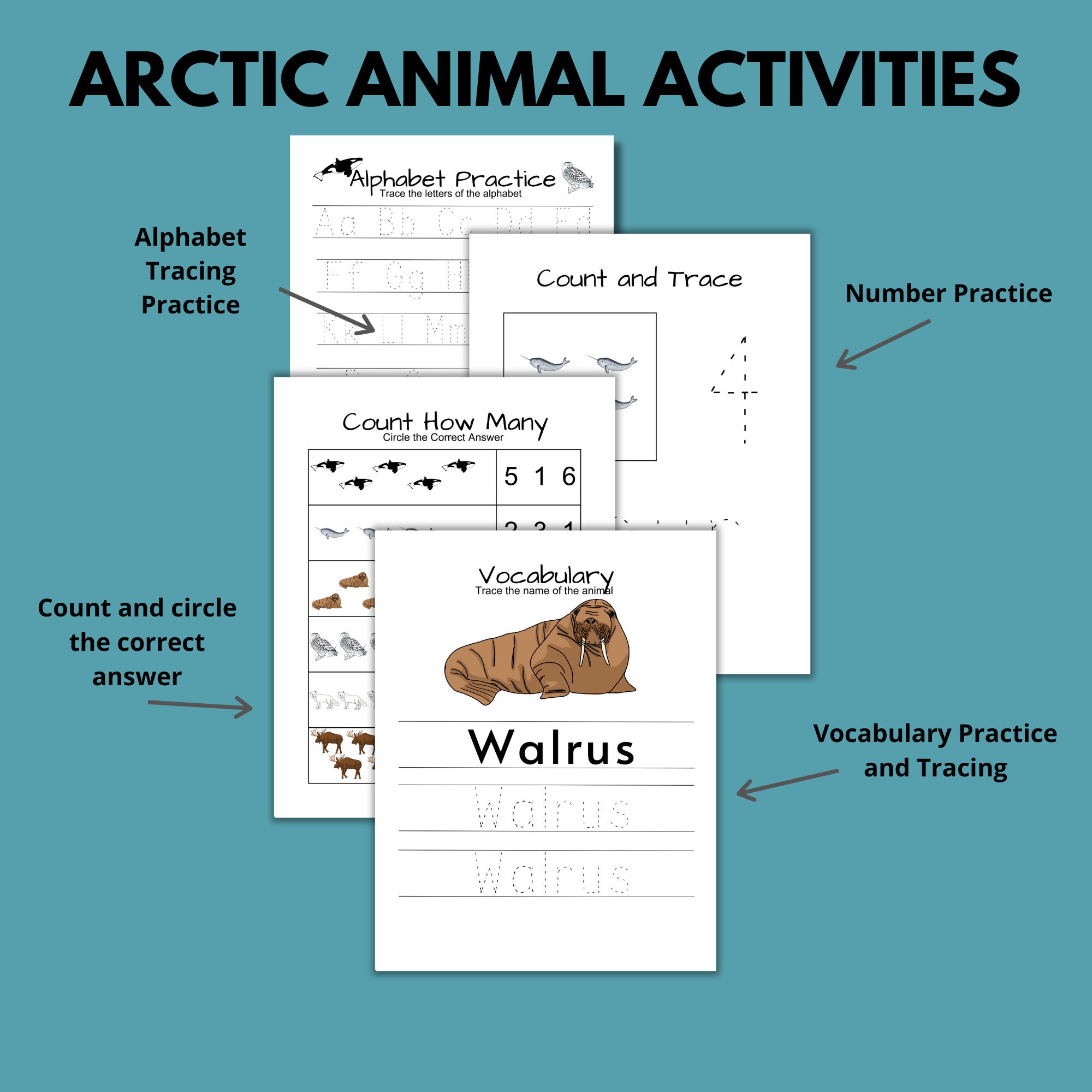 Arctic Animal Worksheets and Activity Sheets for Kids, Winter Animals