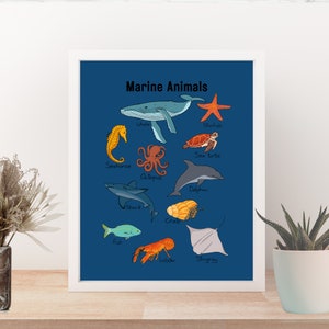Marine Animals Poster for Classroom or Homeschool Decor, Ocean Animals Art, Under the Sea Themed Artwork, Kindergarten Ocean Curriculum