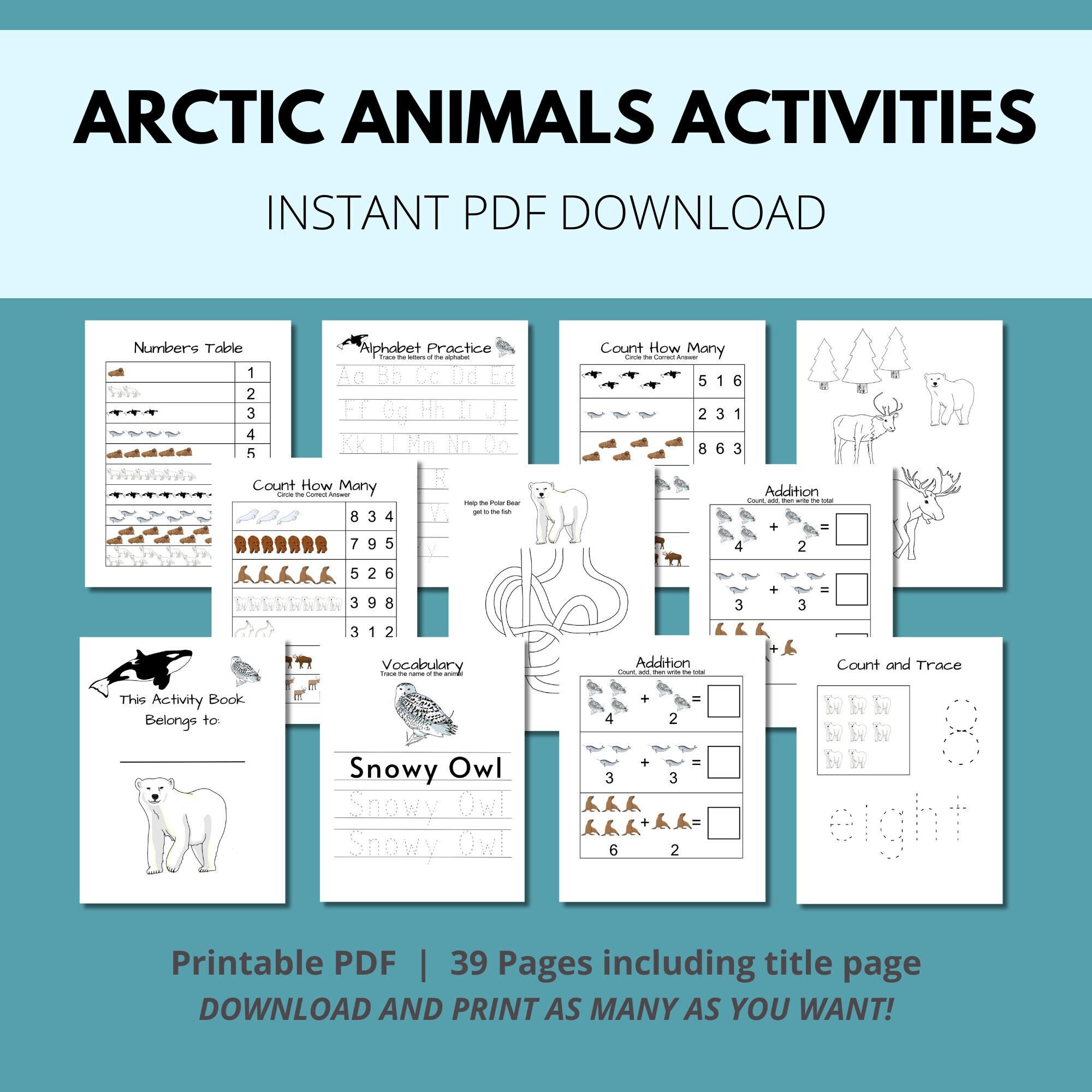 Arctic Animal Worksheets and Activity Sheets for Kids, Winter Animals