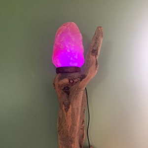 Driftwood Dream Himalayan Salt Wall Light