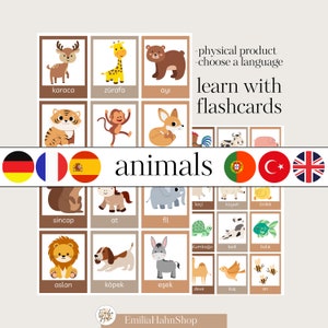 Woordenschatkaarten voor dieren, talen, leren, school, thuis, Duits, Frans, Spaans, Turks, Engels en Portugees GEEN VERZENDKOSTEN