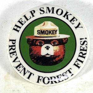 Vintage Smokey the Bear &quot;Help Prevent Forest Fires&quot; button
