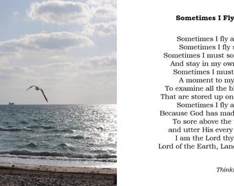 Sometimes I Fly Alone