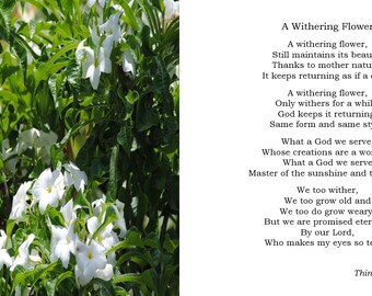A Withering Flower