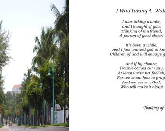 I Was Taking A  Walk