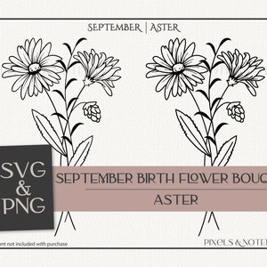 Aster SVG | September Birth Flower | Birth Month Flower Bouquet SVG PNG | Hand Drawn Birth Flower svg | Birthday svg | Floral Clipart