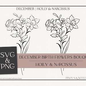 Hulst en Narcissus december geboortemaand bloemboeket SVG PNG | Geboortemaand bloem SVG | Verjaardag-svg | Hand getrokken bloemen vector clipart