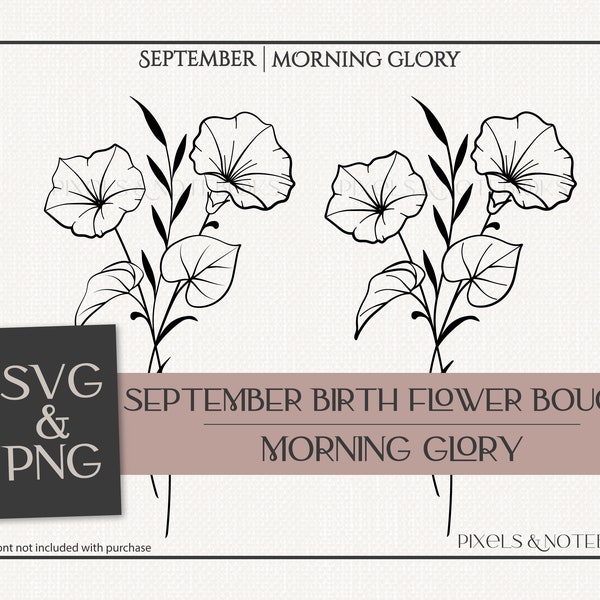 Morning Glory SVG| September Birth Flower | Birth Month Flower Bouquet SVG PNG | Hand Drawn Birth Flower | Birthday svg | Floral Clipart