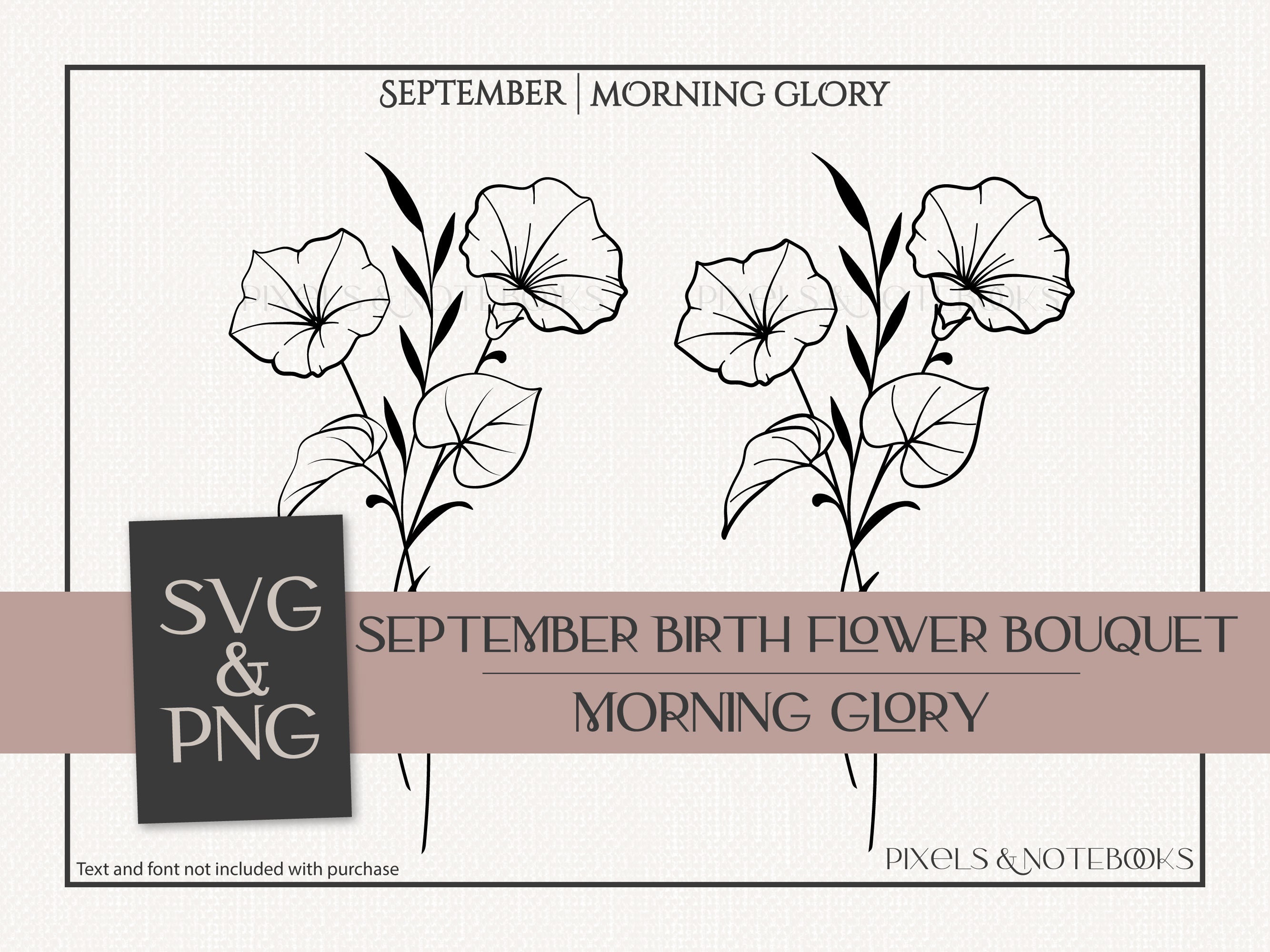 Morning Glory SVG September Birth Flower Birth Month Flower Bouquet SVG