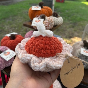 Pumpkin Pie Crochet Pattern | Easy Crochet Pattern | Market Crochet Pattern | Simple Crochet Pattern | Fall Crochet Pattern | Thanksgiving