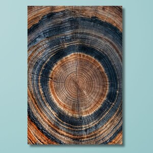 Tree Ring Print on Canvas Wall Art, Abstract Colorful Tree Ring Wall Decor, Tree Ring Minimalist Home Canvas,Livingroom decor,Office Decor/2