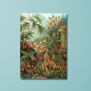 Ernst Haeckel Canvas Wall Art,Ernst Haeckel Painting, Ernst Haeckel Poster Print, Ernst Haeckel Artwork, Ernst Haeckel Exhibition Wall Art