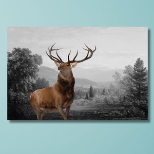 Deer Canvas Wall Art – Wild Deer Poster Print, Wildlife Nature Scene, Rustic Animal Canvas, Woodland Cabin Wall Decor for Nature Lovers