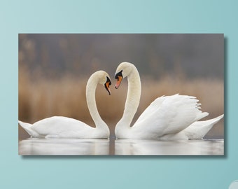 Two swans in love Canvas Wall Art Print, two pairs of beloved swans Wall Art, Swan Canvas Print Poster, two pairs of animals Home Decor