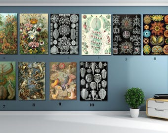 Custom Ernst Haeckel Canvas Art Prints: Vintage Botanical Posters, Set of 3