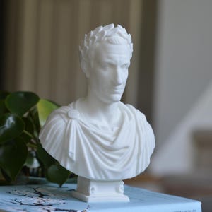 May include: A white bust of a man with a laurel wreath crown and draped clothing. The sculpture is on a small pedestal and sits atop a stack of books. The bust is a classical art piece.
