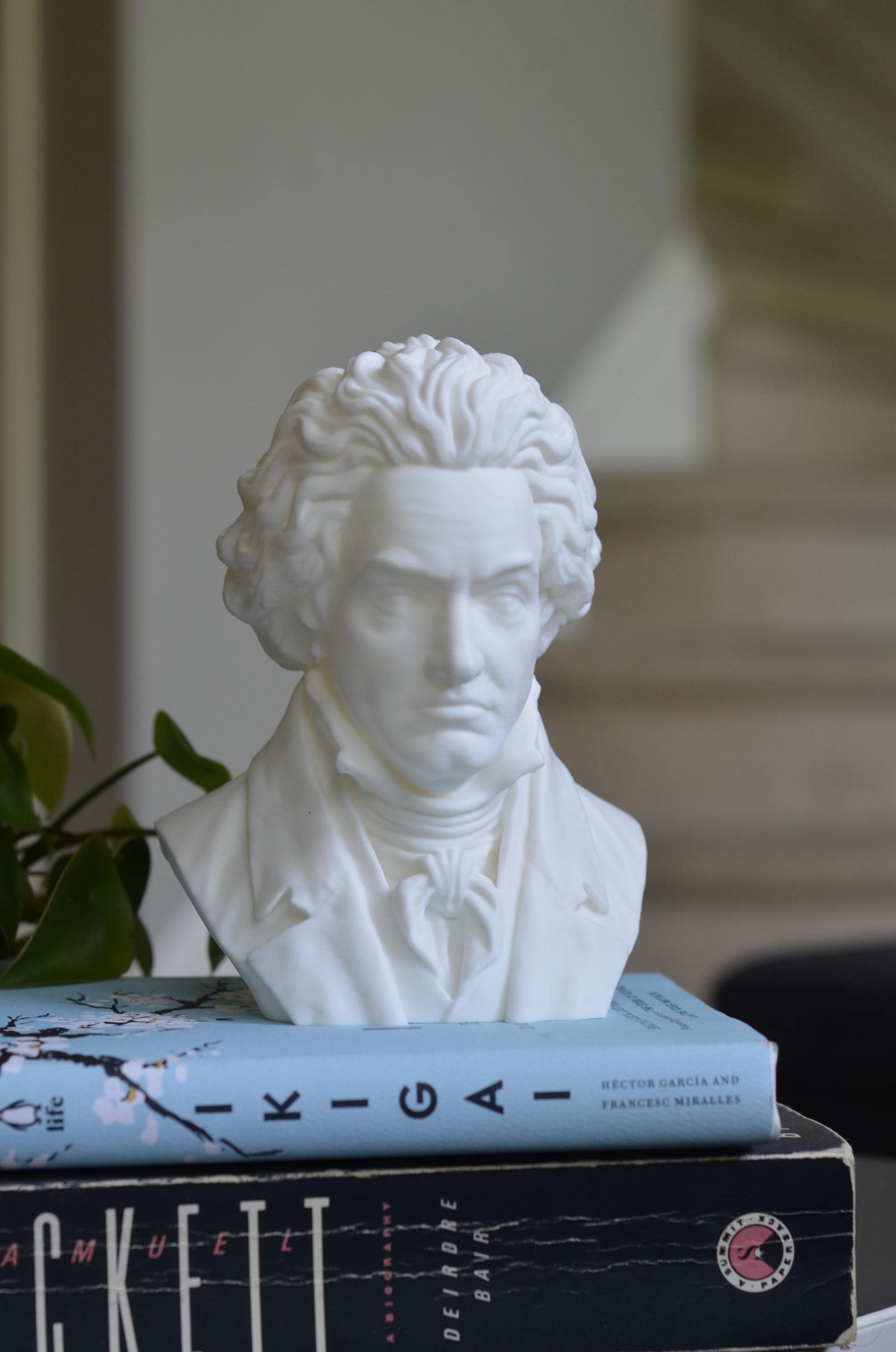 Large Beethoven Bust - Etsy