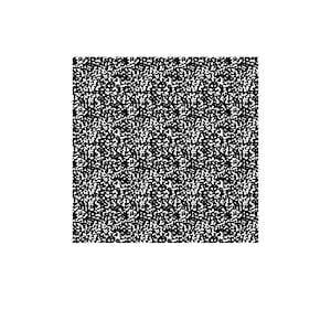 May include: A square, black and white abstract pattern. The design is composed of numerous small, irregular shapes, creating a speckled or grainy texture. The overall effect is a high-contrast, visually dense pattern.