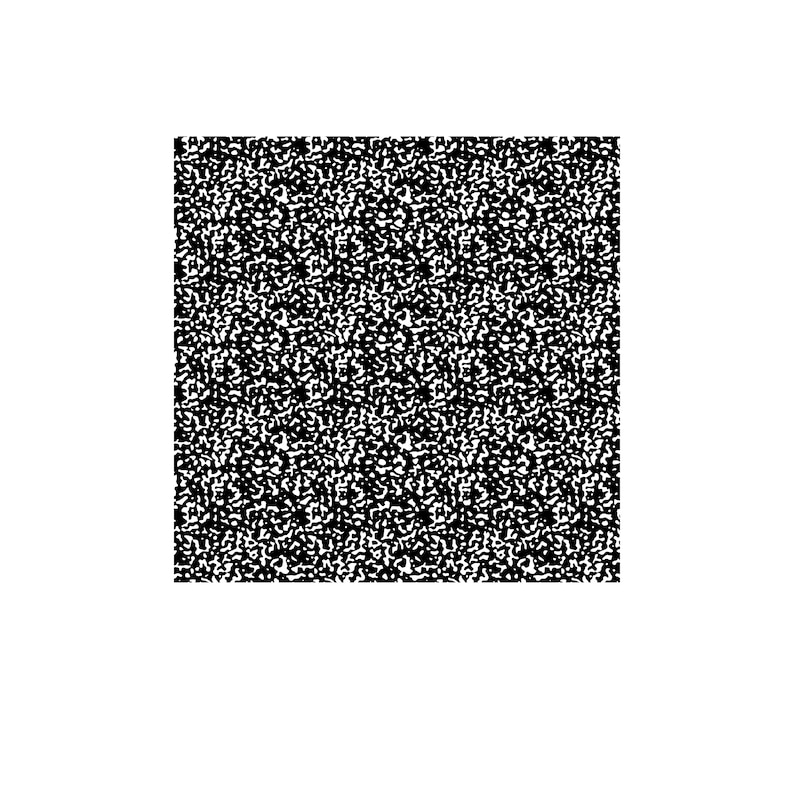 May include: A square, black and white abstract pattern. The design is composed of numerous small, irregular shapes, creating a speckled or grainy texture. The overall effect is a high-contrast, visually dense pattern.