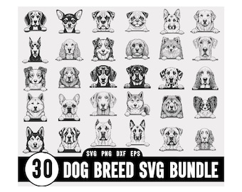 Pacote de Clipart SVG de Raças de Cães, Pacote de Clipart SVG de Cães Espiando, downloads digitais instantâneos de raças de cães em SVG, Coleção de Raças, Clipart de Cães