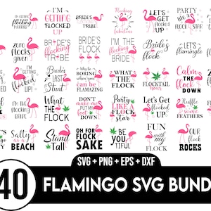 Pakiet flamingów svg, Pakiet flamingów svg, Cytaty flamingów svg, Flamingo Png, Pływający flaming, Letni svg, Ptak svg, Clipart flaminga svg