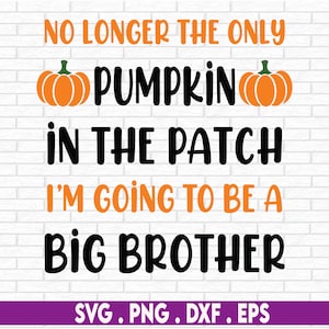 Kürbis SVG, Swirly Kürbis SVG, Herbst SVG, Halloween Kunst, Thanksgiving, Muster, Png, Dateien für Cricut, Sublimation Design Downloads