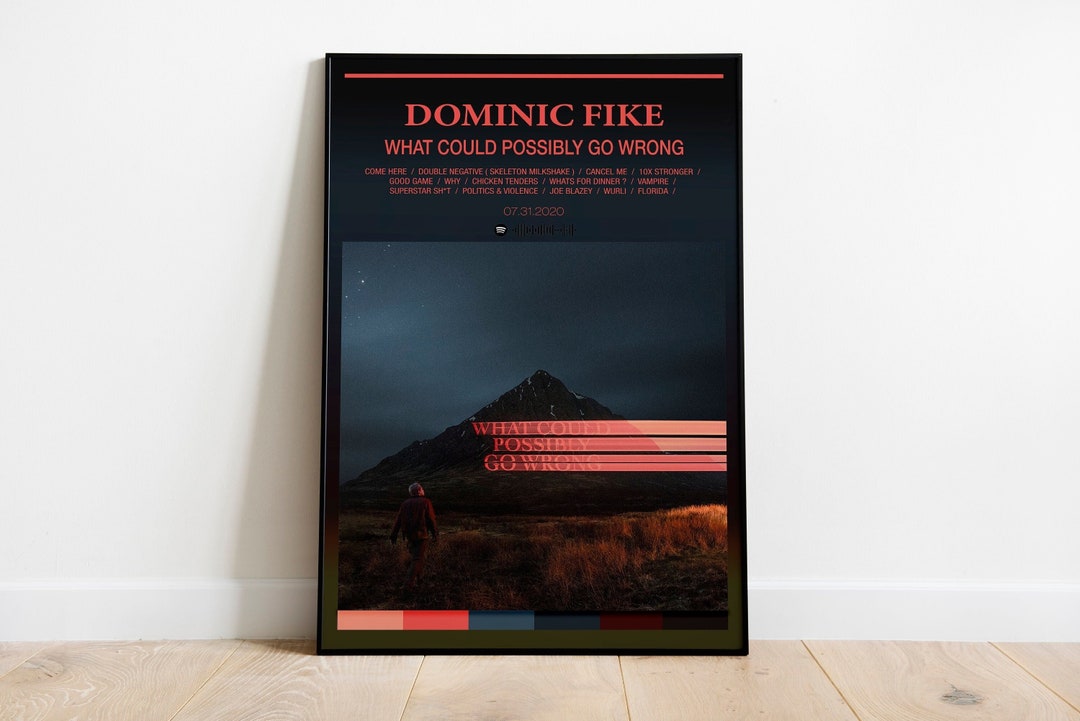 Dominic Fike What Could Possibly Go Wrong Album Poster - Etsy