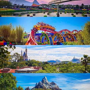 WDW 4 parcs, 1 art mural de rêve - téléchargement numérique instantané