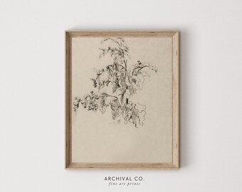 Blooming Branches Art Print | Vintage Art Sketch | Digital Download | Printable Wall Art | Plants and Leaves Pencil Drawing | Nature Etching