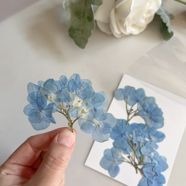 Blue pressed hydrangea flowers with stem, dryed flowers for crafts  jewelry candles card and wedding invitations resin phone case