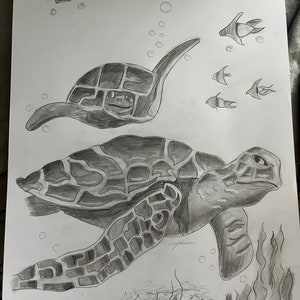 Turtle, Black and white, A4