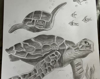 Tortue, noir et blanc, A4