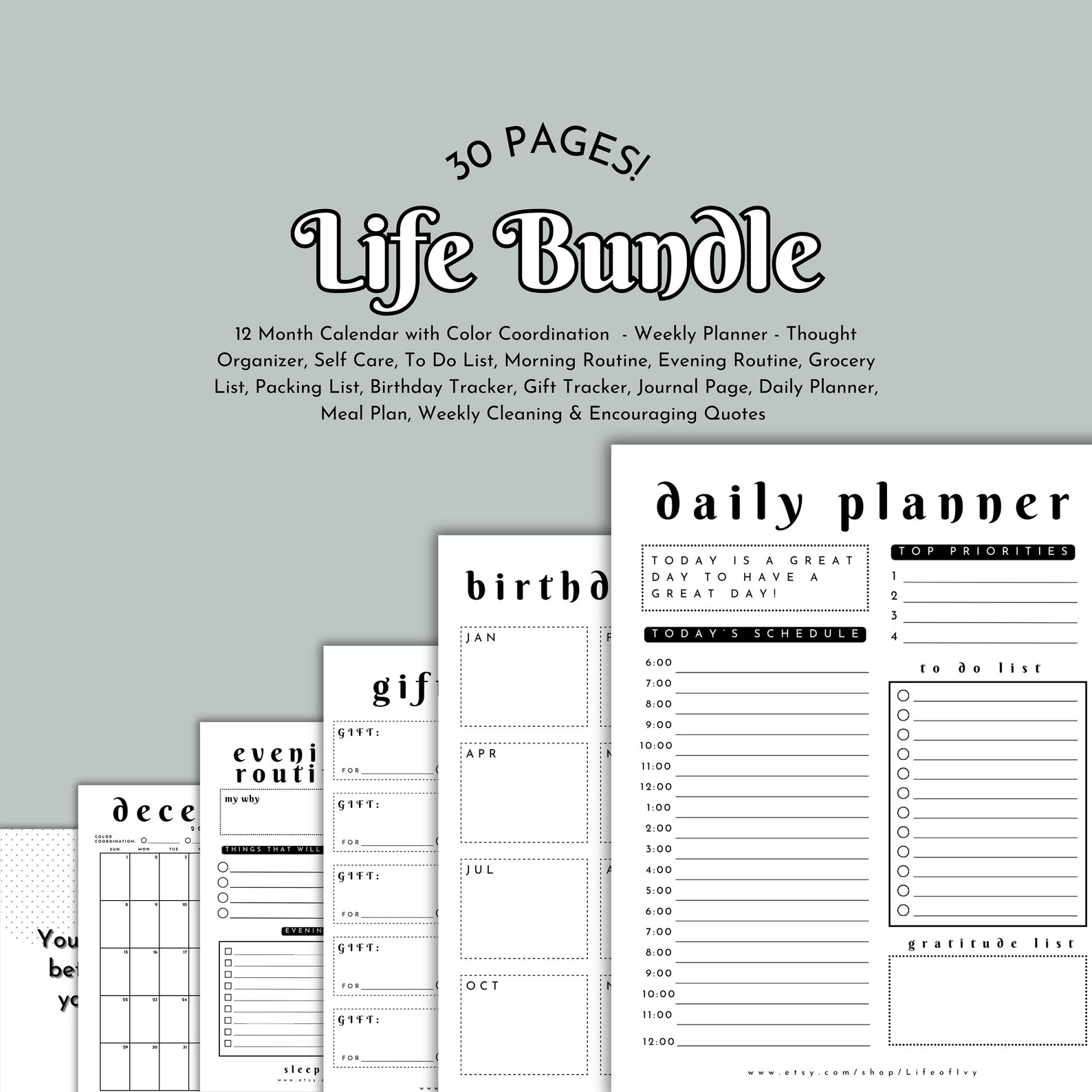 Goodnotes Calendar Planner 2024 Digital Planner Printable Etsy