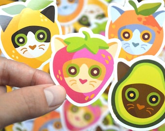 Fruit Cats Cottagecore Vinyl Stickers
