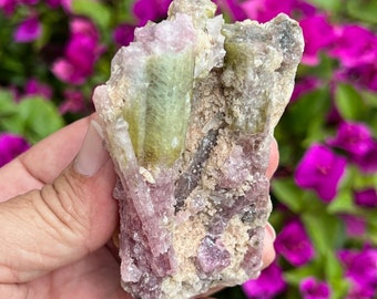 Tourmaline Crystal Green Tourmaline