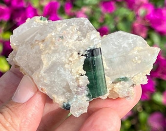 水晶に埋め込まれたレピドライト入りグリーントルマリン結晶、ラグマン