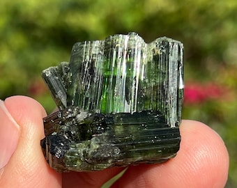 Green Tourmaline Tourmaline Cluster Perky Box