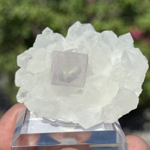 Fluorite YGX Fluorite