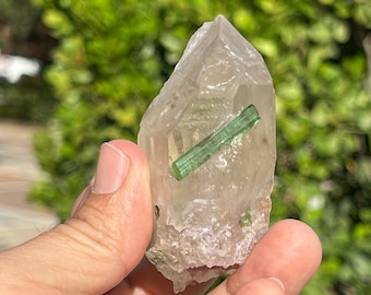 Rock Mineral Green Tourmaline Quartz Inclusions Tourmaline Gift Rock Collection Quartz Crystal Matrix Healing Crystal Point