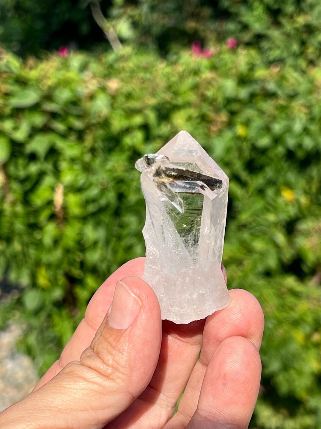 Quartz Crystal Clear Quartz Point With Tourmaline Healing Etsy