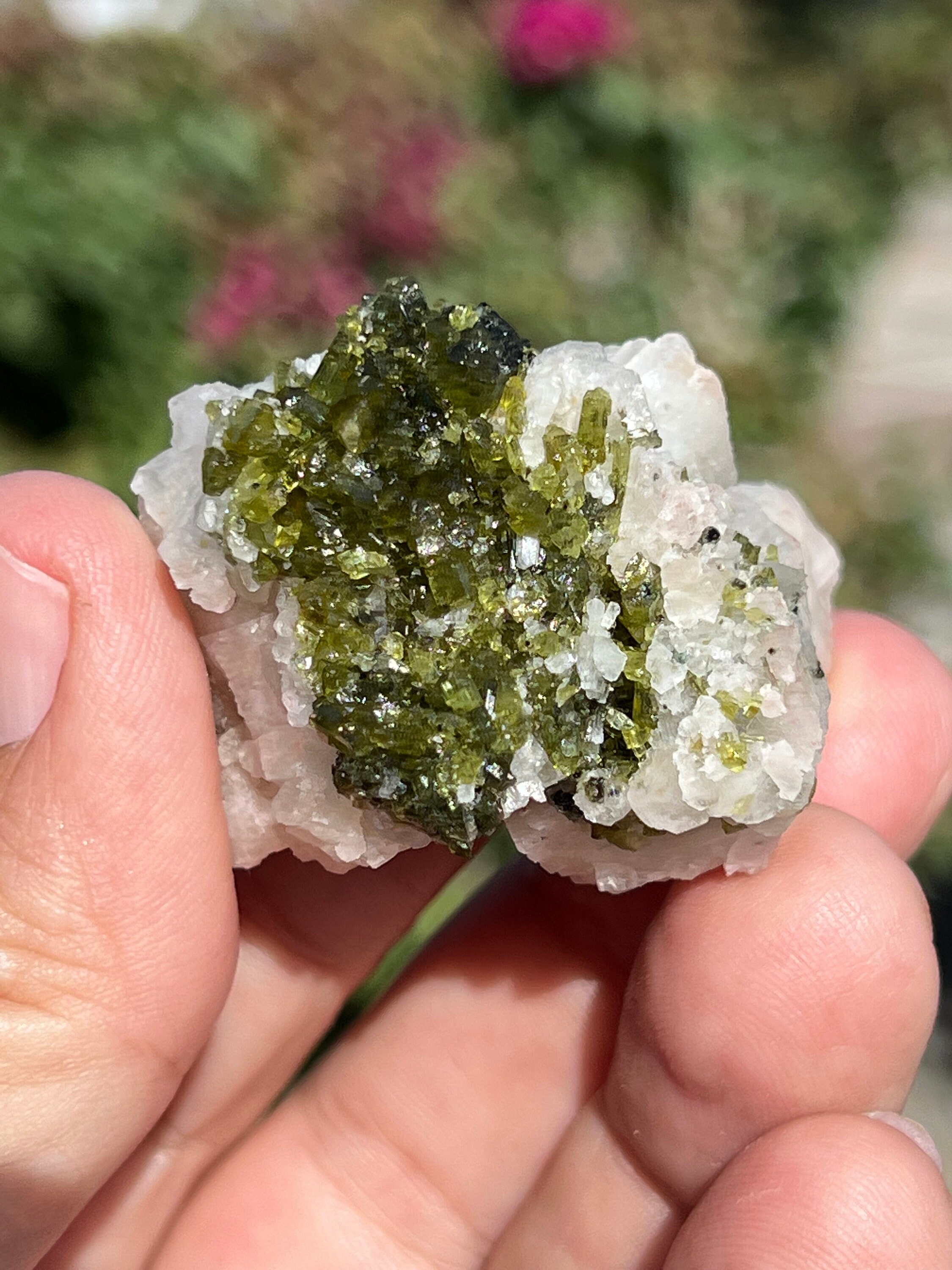 Tourmaline Green Tourmaline on Quartz.