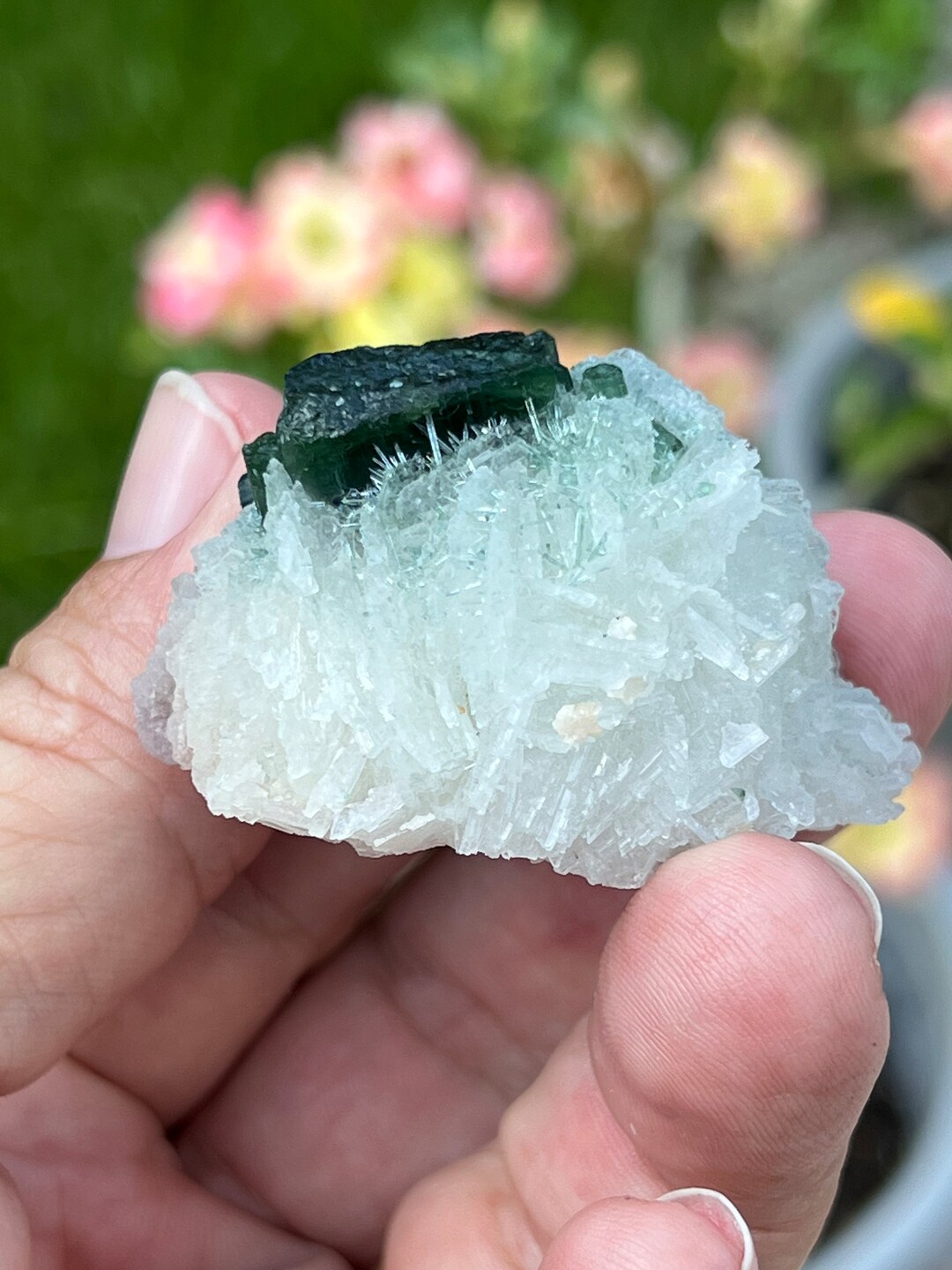 Green Tourmaline Specimen on Albite, Brazil Rock Collection - Etsy