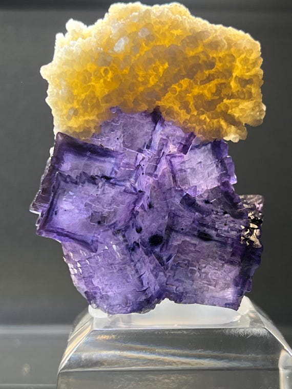 【コレクターズアイテム】エルムウッドフローライト コレクターズアイテム】エルムウッドフローライト コレクターズ