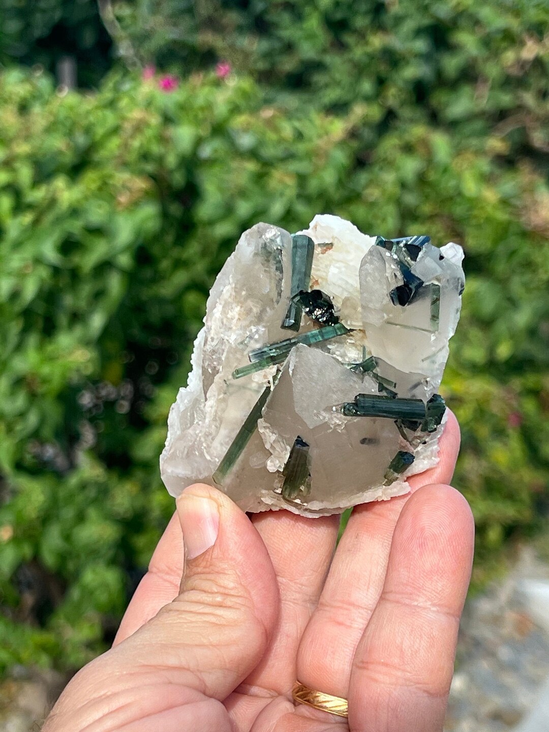 Quartz Crystal Collection Green Tourmaline on Quartz Tourmaline ...