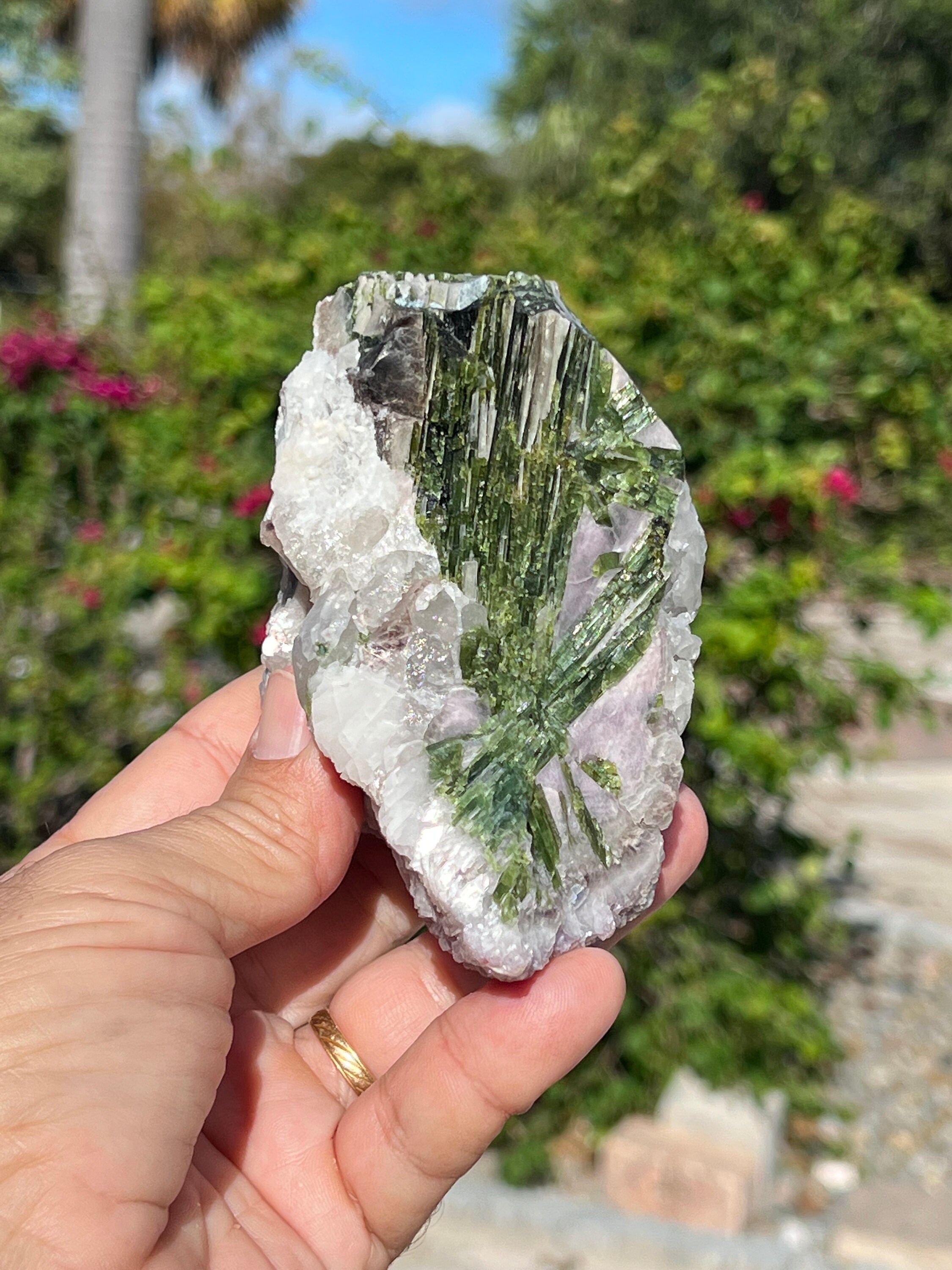Green Tourmaline Quartz Crystal Purple Mica Rock Collection Mineral Specimen Office Decor Tourmaline on Matrix