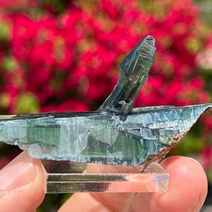Vivianite Crystal