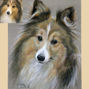 Original handmade pastel dog portrait, pet portrait, cat portrait, animal portrait, animal portrait from photo
