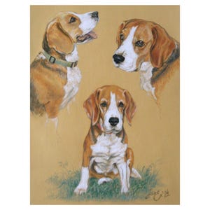 Custom Pet Studio Portrait, Personalized Pet Portrait Study, Pet Portrait, Original Pastel Artwork from Your Photos