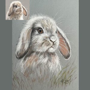 Original handmade pastel pet portrait, dog portrait, cat portrait, rabbit, animal portrait, animal portrait from photo